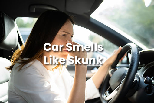 Why Does Car Smell Like A Skunk? Is It Bad?